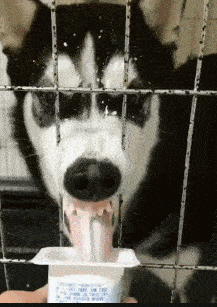 cc05bd1905814c4391059b337ab0963a.gif